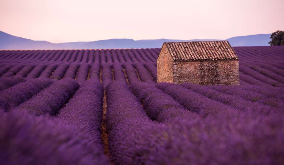 Destination de rêve en france