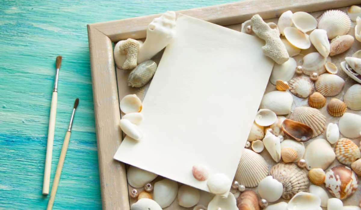 Que faire avec des coquillages ramasser à la plage