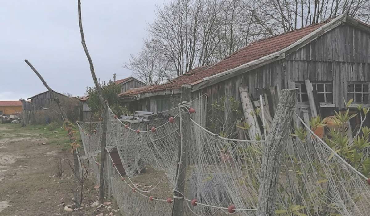 Teste-de-Buch - village