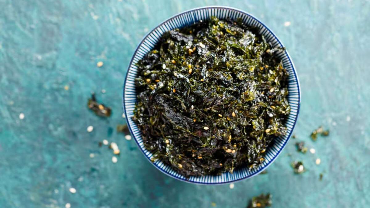 Algues comestibles plages france