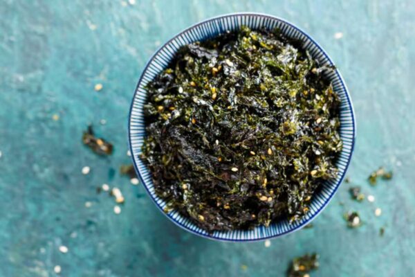 Algues comestibles plages france