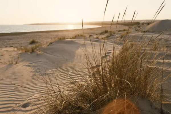 comment aller a la plage de l'espiguette