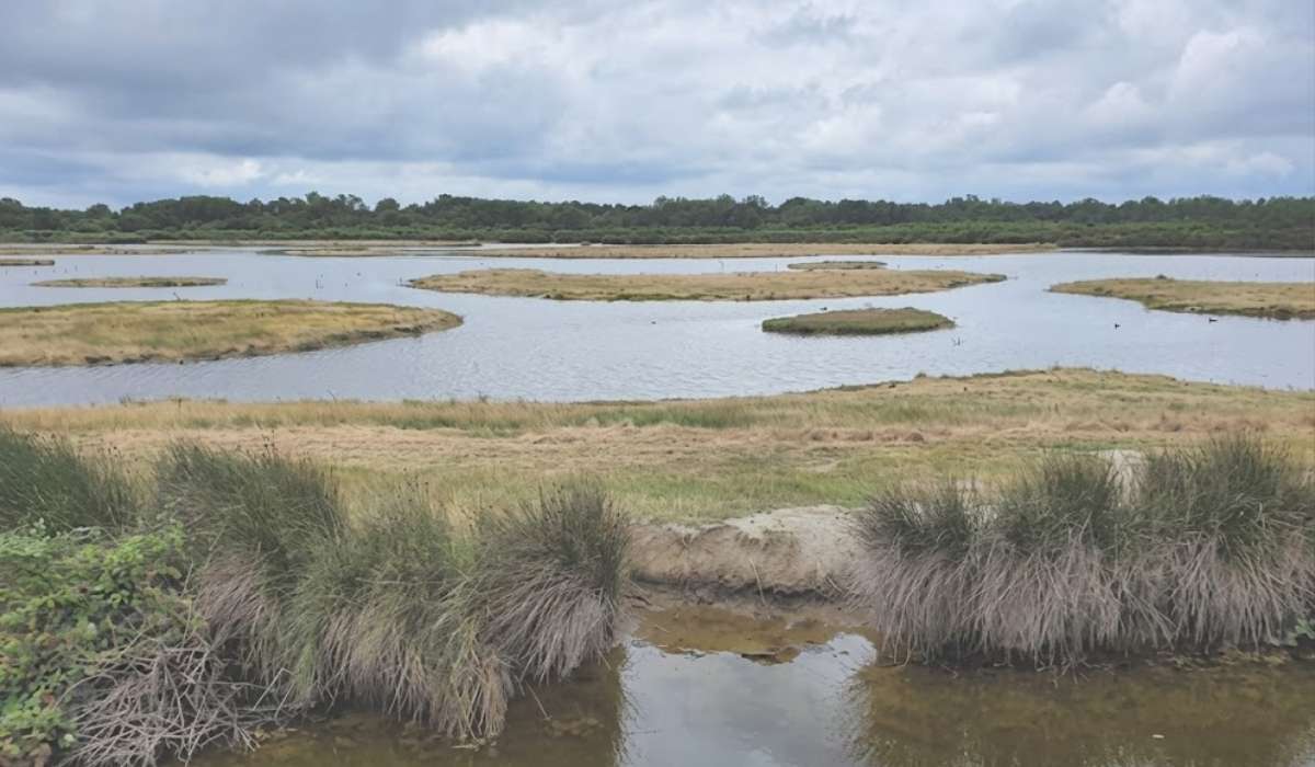 le-teich - village
